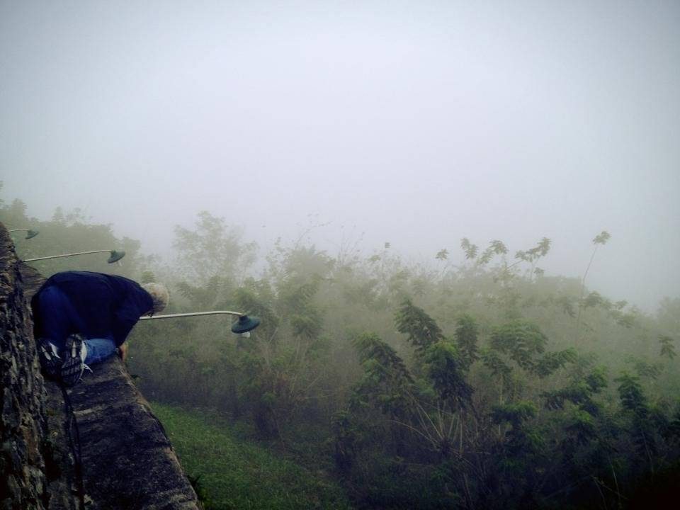 Man on a ledge overlooking some trees.