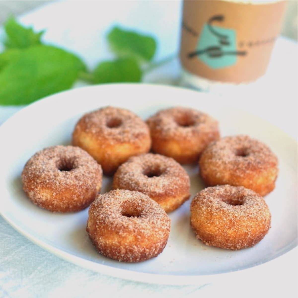 Cinnamon sugar mini donuts on a plate.