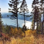 A lake with trees in Montana.